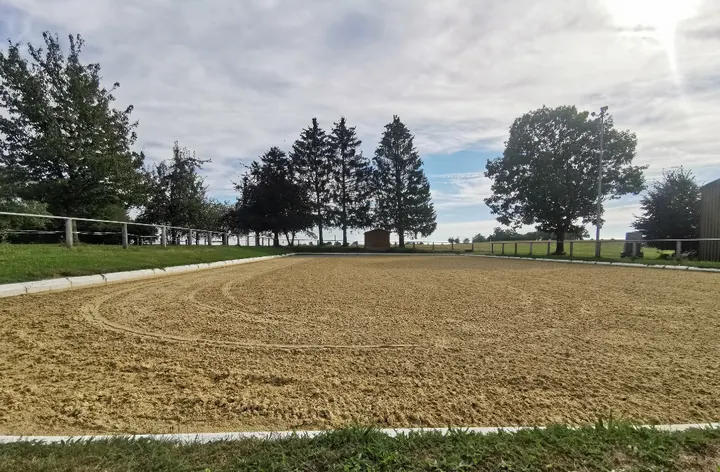 Dressurplatz mit frisch gezogenem Sandboden, dahinter Bäume und Weiden