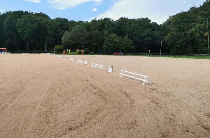 Großer Fahrplatz mit weißen Begrenzungen vor dem Waldrand