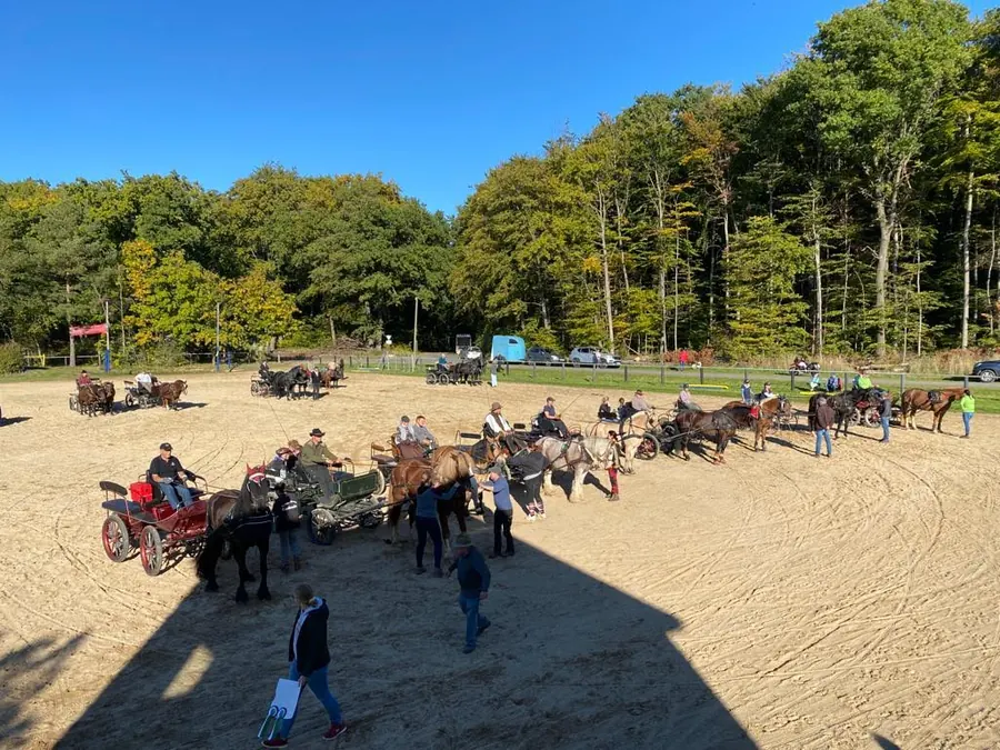 Viele Gespanne auf einem großen Sandplatz vor dem Waldrand
