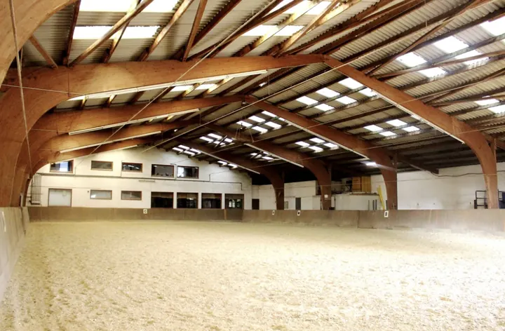 Reithalle mit hellem Sandboden und geschwungenen Holzbindern unter dem Dach