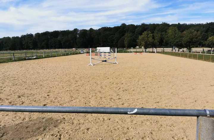 Springplatz mit Hindernissen, im Hintergrund der Waldrand